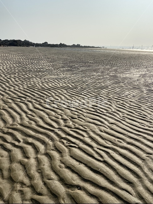 흙,해수욕장,자연,진흙,nature,soil,선녀바위해수욕장,선녀바위