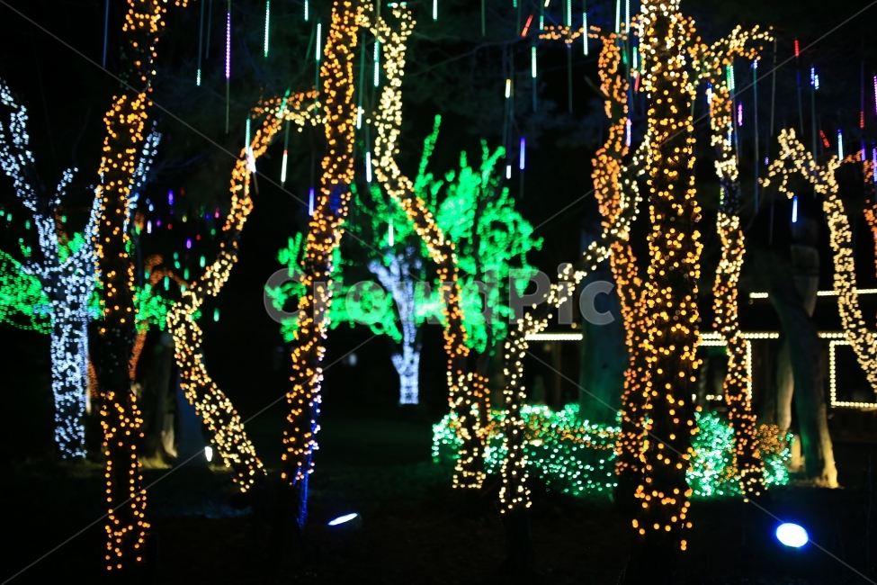 야경,조명,빛,장승마을,나이트,인공,공원,놀이공원,풍경,야경,밤,풍경,nightscape,night,landscape,나무,trees,wood