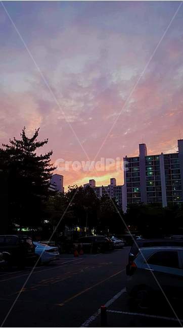 오후,저녁,노을,거리,아파트,동네