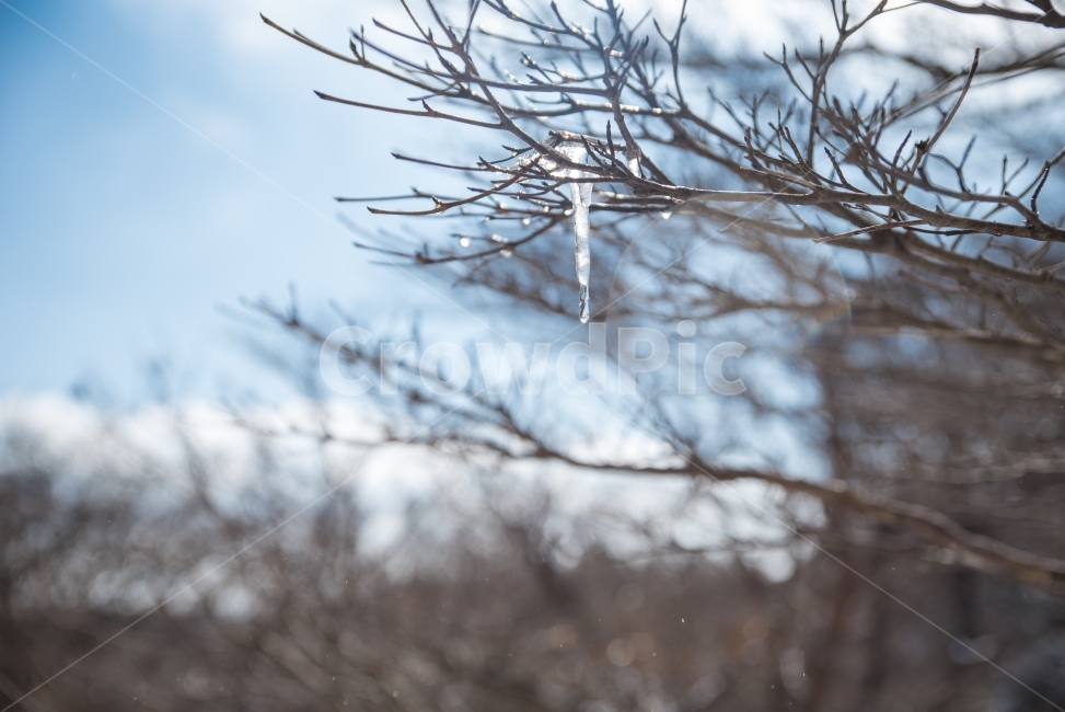 겨울,겨울풍경,고드름,겨울사진,풍경,겨울,계절,winter,season
