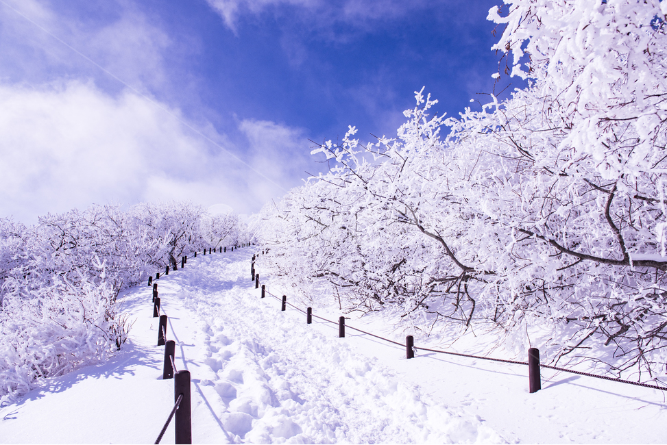 겨울,겨울산행,눈꽃,눈,snow,snowflower,태백산,하늘,나무,겨울나무,겨울,계절,winter,season,자연,풍경,nature,landscape,outdoors,옥외