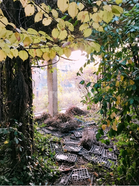 공원,자연,가든,비밀의정원,정원,garden,휴식,산책,자연,풍경,nature,landscape,plant,식물,ground,바닥