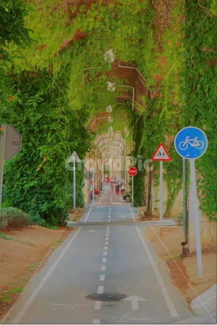 스페인,지로나,자전거길,spain,girona
