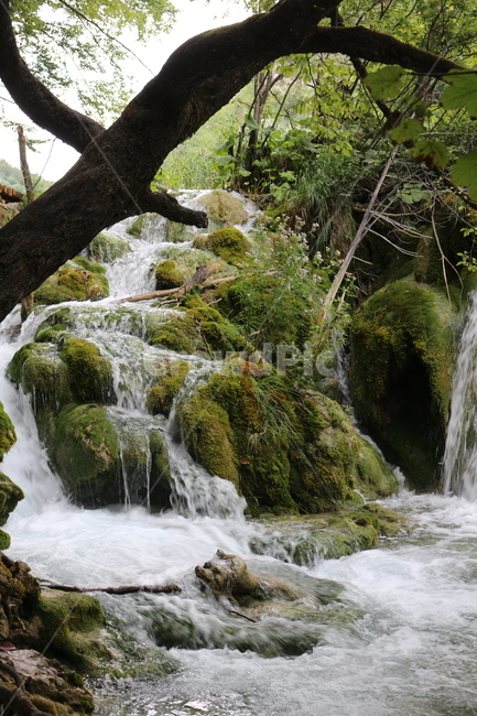 크로아티아,크로아시아,플리트비체,croatia,plitvice,plitvica,국립공원,공원,폭포,숲,요정숲,연못,강,호수,나무,여름,유럽,waterfall,pond,lake,park,tree,forest,자연,풍경,nature,landscape