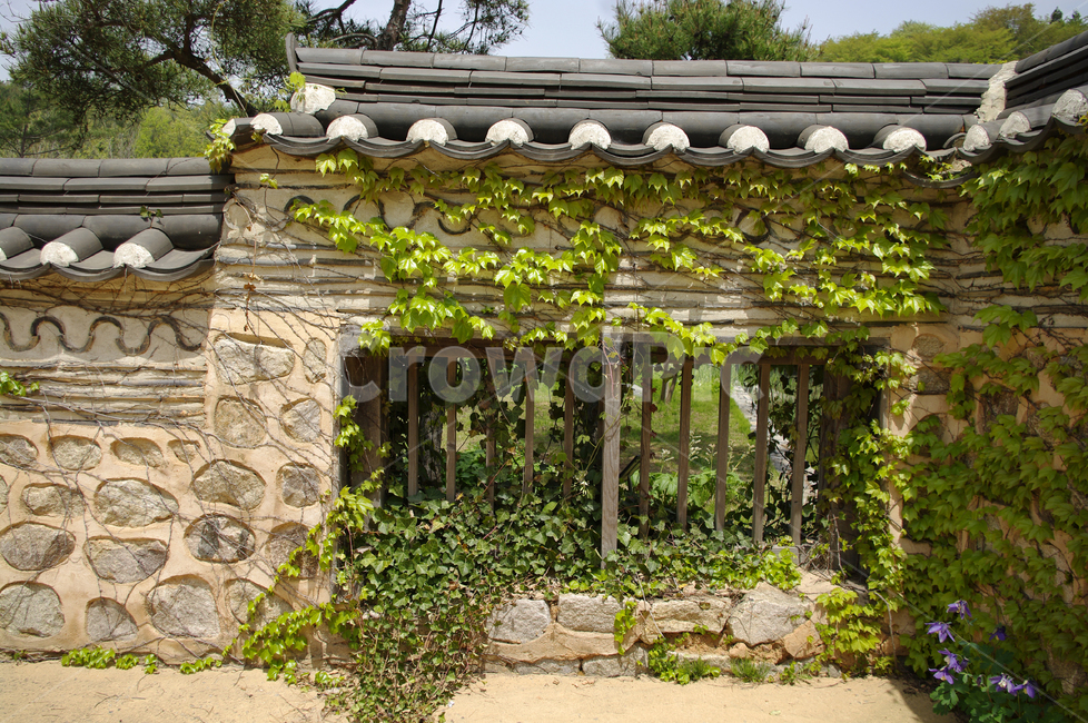 담자,기와,넝쿨,흙담,문양,전통,한국전통,한국문화,korean traditional,korean culture,건축물,건물외관,exterior,building,structure,architecture,construction