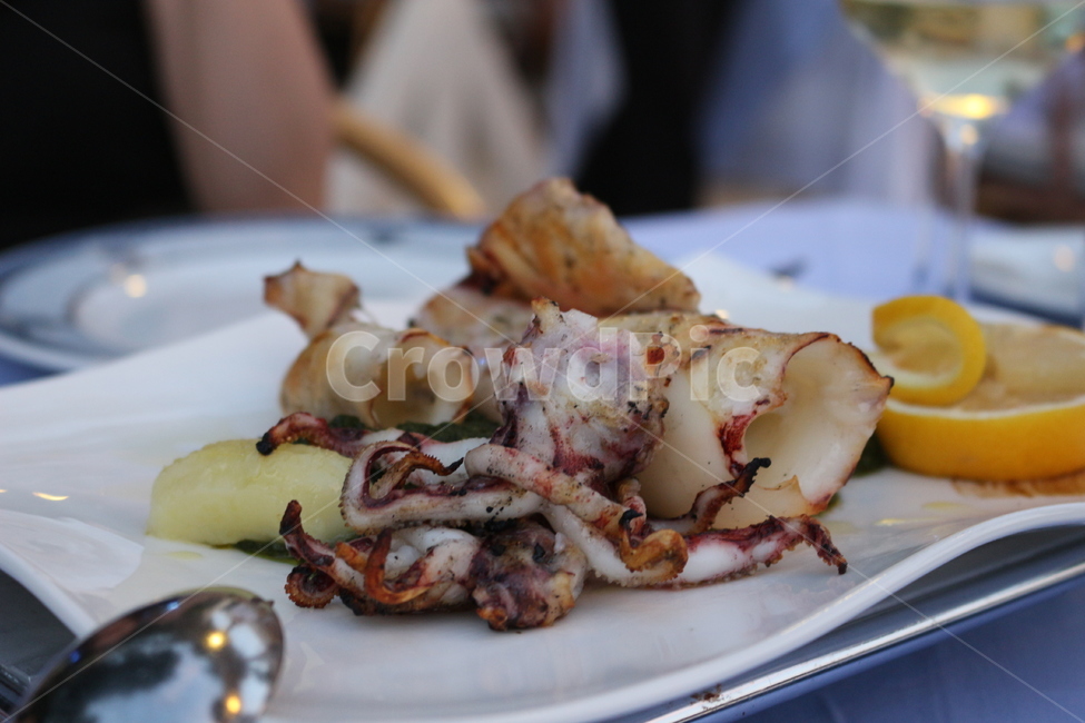 크로아티아,크로아시아,croatia,두브로브니크,두브로브닉,dubrovnik,해산물,시푸드,오징어,오징어구이,통오징어구이,통오징어,한치,문어카르파치오,맛집,restaurant,seafood,squid,octopus,반건조오징어,food,dish,요리,meal,식사,음식,음식,식재료,요리,food,cook,meal,dishes,food reserves