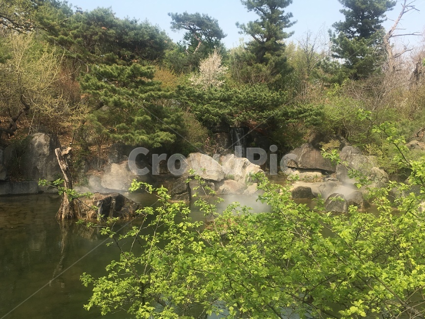 연못,공원,호수,조경,산책,자연,나무