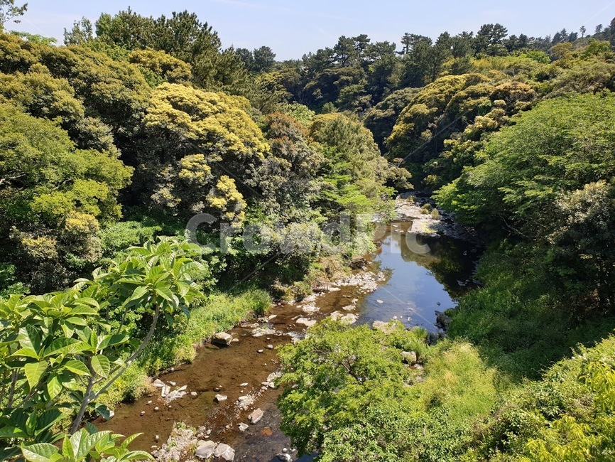 제주도,서귀포시,바다,하늘,용머리해안,해수욕장,바닷가,제주바다