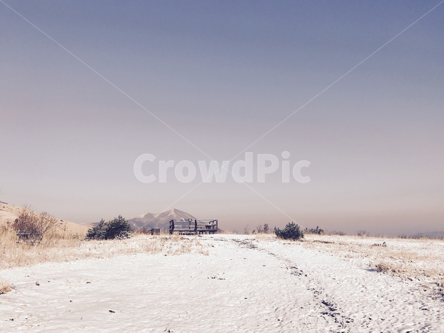 눈,눈길,쓸쓸함,겨울,외로움,겨울,계절,winter,season,자연,풍경,nature,landscape,outdoors,옥외