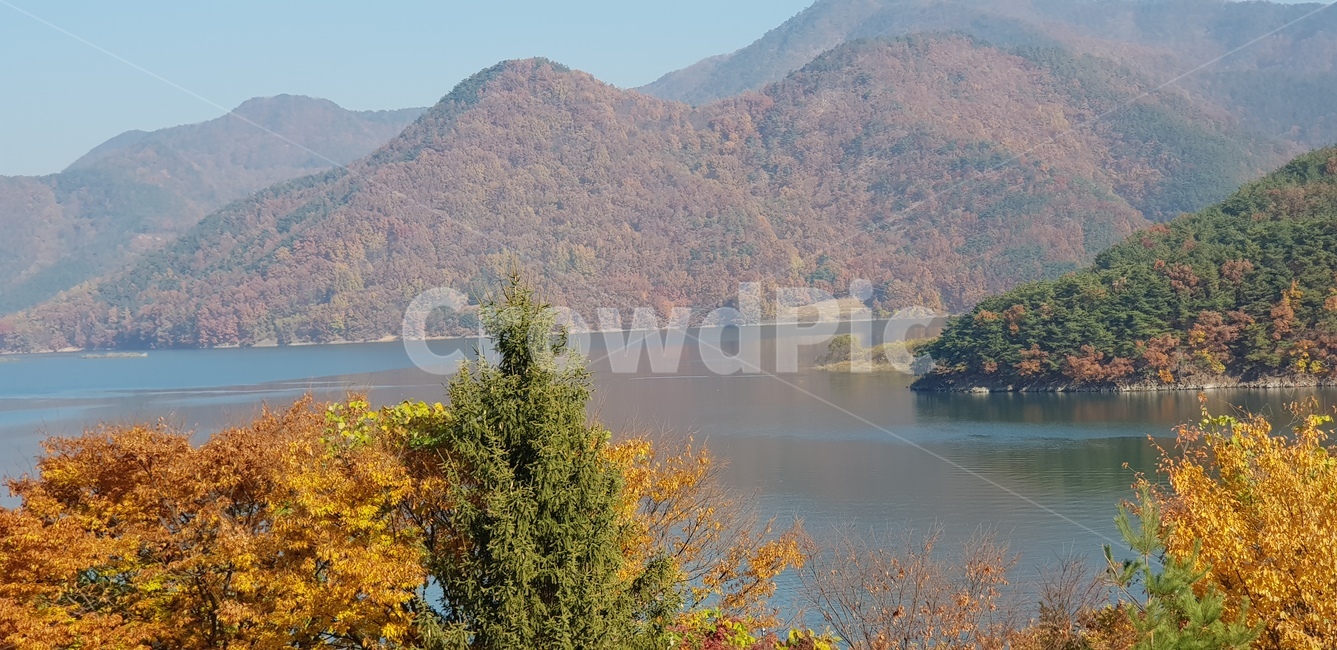 가을,호수,낙엽,청풍호,낭만,가을,계절,fall,autumn,season,자연,풍경,nature,landscape,water,물,outdoors,옥외