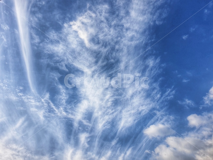 nature,자연,azuresky,푸른하늘,sky,하늘,outdoors,옥외