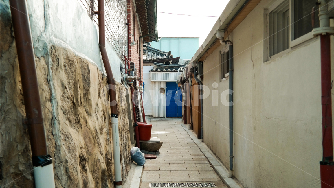 감성사진,필름카메라,골목길,골목,path,walkway,koreanroad,통로,보도,파란대문