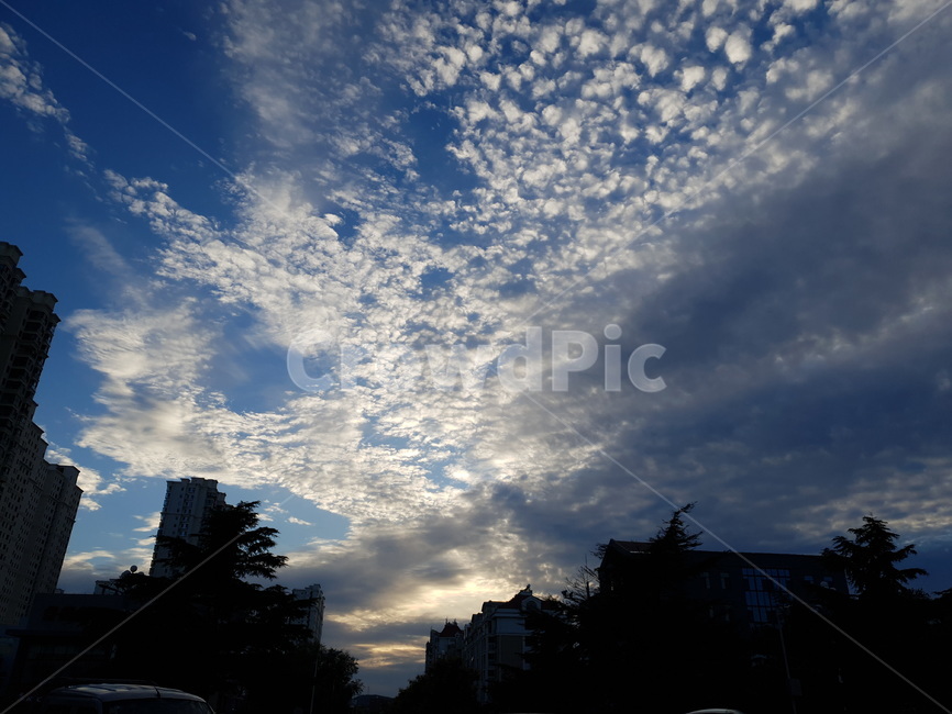 nature,자연,outdoors,옥외,sunlight,햇빛,하늘,sky