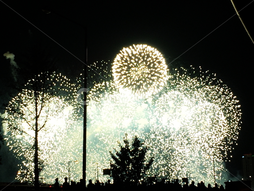 불꽃놀이,축제,서울세계불꽃축제,폭죽,한강,야경,밤,풍경,nightscape,night,landscape,축제,행사,festival,carnival,event,nature,자연,outdoors,옥외