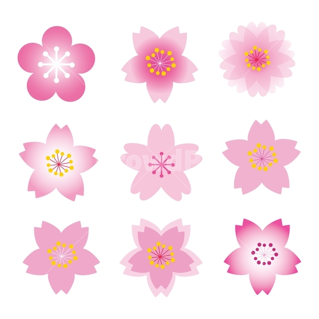 벚꽃,아이콘,그래픽,벚꽃패턴,일러스트,체리블러썸,cherryblossom,4월,봄이미지,패턴,디자인소스,graphic,pattern,illustration,일러스트레이션,벡터,핑크색,분홍색,꽃잎,꽃송이,꽃봉오리,봄,계절,spring,season,꽃,flower,그래픽,일러스트레이션,graphic,illustration