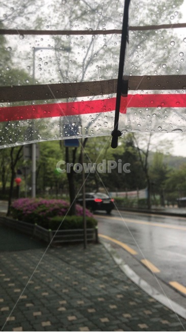 비,우산,정류장,흐림,길,도로,비,비오는날,rain,rainy