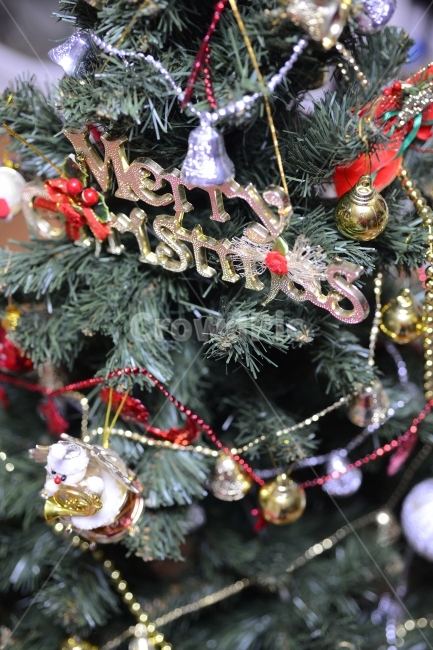 크리스마스,트리,장식,구슬,Christmas,ball,decoration,성탄절,겨울,계절,winter,season,기념일,축하,anniversary,congratulation,celebrate,celebration,메리크리스마스,성탄절,merry christmas,사물,물건,오브젝트,thing,object,matter