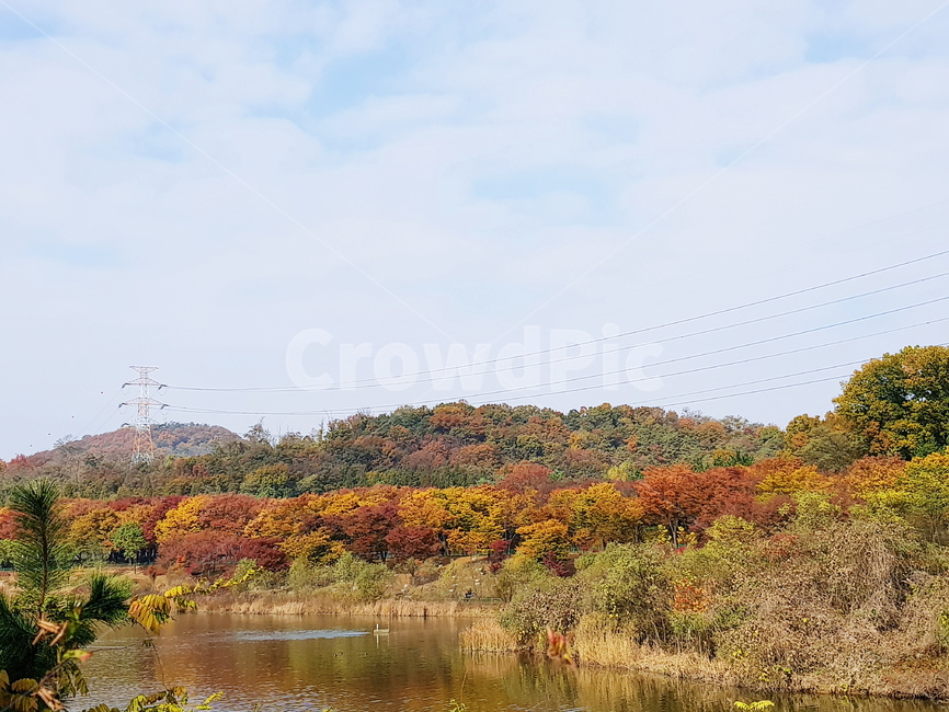 가을,단풍,단풍놀이,가을풍경,알록달록,가을,계절,fall,autumn,season,자연,풍경,nature,landscape,land,땅,outdoors,옥외,water,물