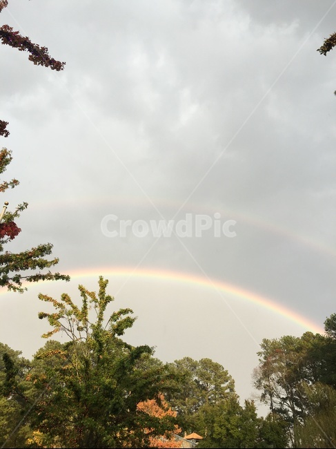 무지개,쌍무지개,자연,비온뒤,레인보우,rainbow,자연,풍경,nature,landscape,tree,나무,plant,식물,outdoors,옥외