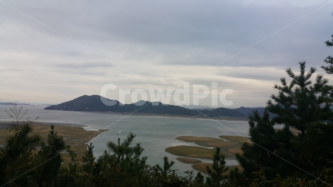 순천만,나무,섬,하늘,가을,자연,풍경,nature,landscape,outdoors,옥외,land,땅,plant,식물,tree,shoreline,해안선,water,물,fir,전나무,ocean,대양,sea,바다,promontory,곶