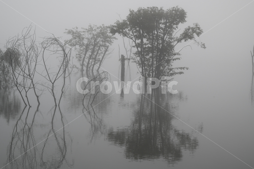 저수지,물안개,풍경,반영,몽환,자연,풍경,nature,landscape,흑백,모노톤,monochrome,black and white,weather,날씨