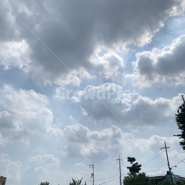 하늘,뭉게구름,맑은하늘,나무,오후