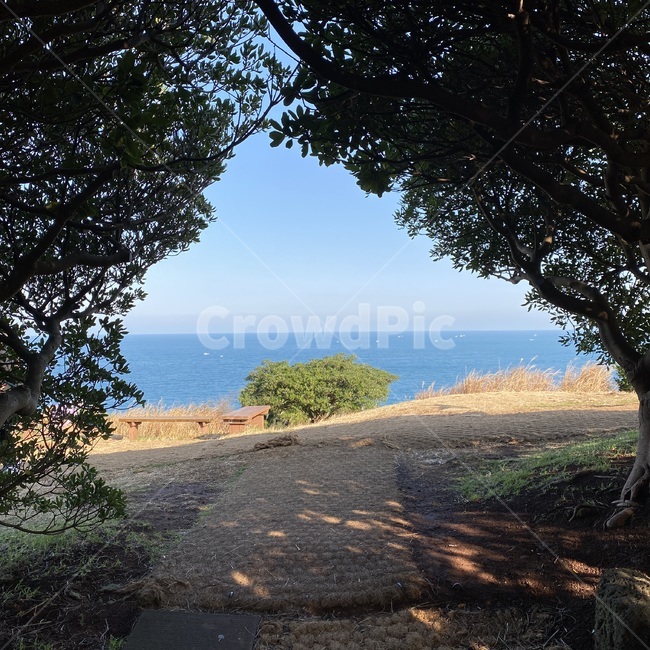 바닥,road,제주도바다,제주도하늘,역광사진,ground,dirtroad,흙길,gravel,자갈,그림자,sky,plant