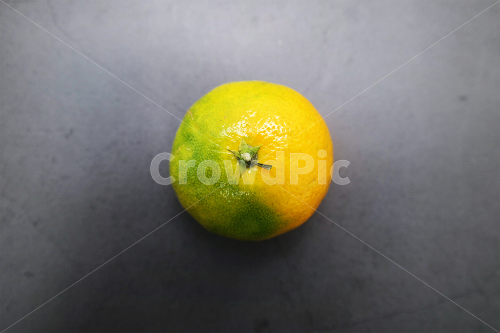 citrusfruit,감귤류과일,food,plant,식물,fruit,과일,grapefruit,그레이프프루트,생산액,lime,라임,귤,시트러스,감귤,청귤,과일,열매,fruit