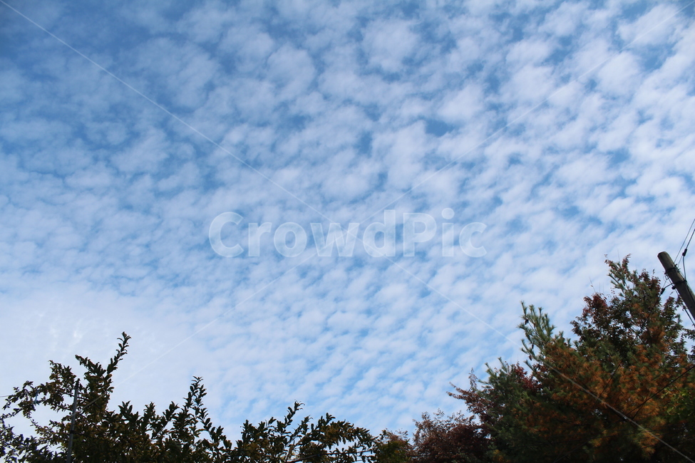 하늘,구름,자연,배경화면,이미지,자연,풍경,nature,landscape,outdoors,옥외,sky
