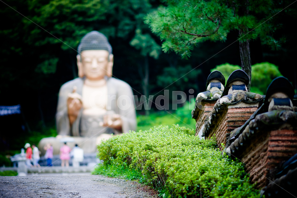 배경,배경이미지,바탕,절,사찰,부처,불공,여름산사,약천사,심학산절,불심,불상