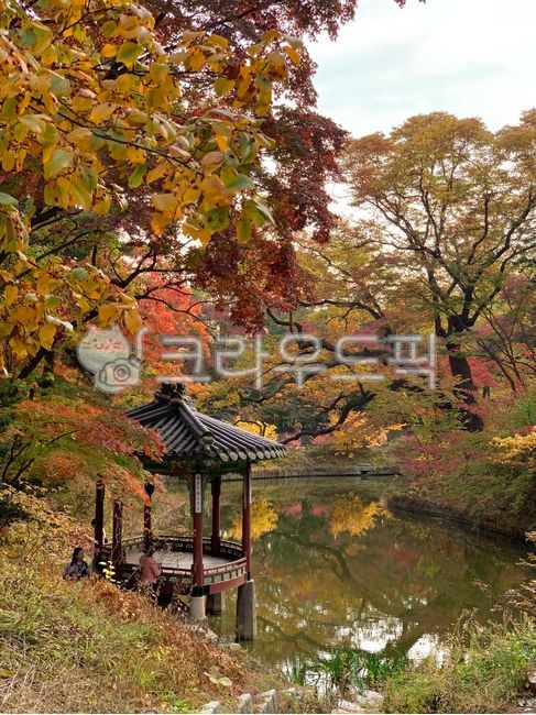 가을,단풍,창경궁,창덕궁,단풍놀이,세계문화유산,단풍명소