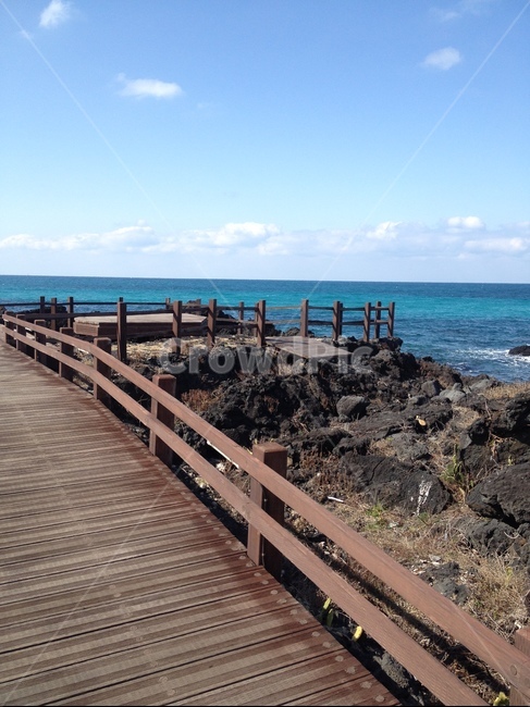 바다,선인장마을,바닷길,산책로,제주도,자연,풍경,nature,landscape,bridge,다리,building,건물,boardwalk