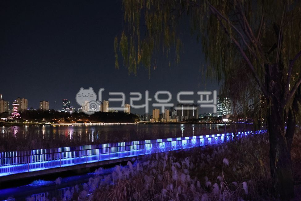 광교호수공원,광교,호수공원,광교신도시,수원,수원시,경기,경기도,영통,영통구,야경,밤,풍경,도시,빌딩,아파트,다리,나무,자연,하늘,불빛,신도시,빌딩숲,지역,랜드마크