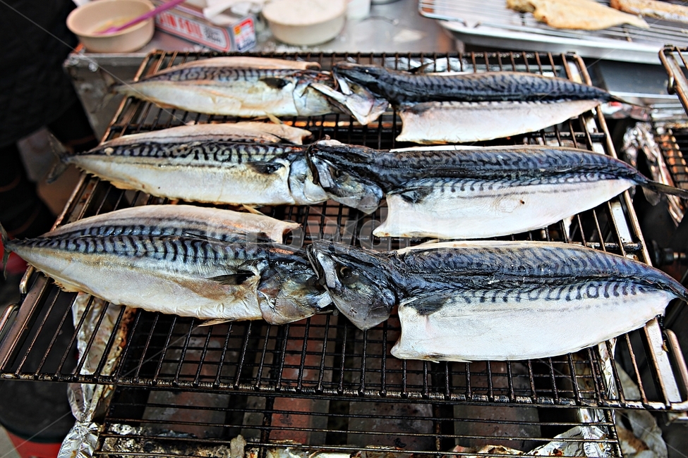 자반구이,고등어,구이,생선,음식,한식,요리,음식,식재료,요리,food,cook,meal,dishes,food reserves,수산물,해산물,fishery products,seafood