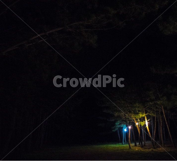 밤,저녁,풍경,밤풍경,풍경사진,감성,감성사진,자연,풍경,nature,landscape,야경,밤,nightscape,night,light,빛,flare,플레어