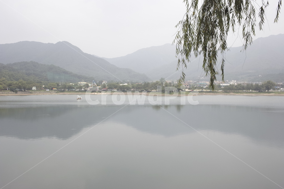 의림지,제천,소나무,나무,유원지,자연,자연,풍경,nature,landscape,tree,plant,식물