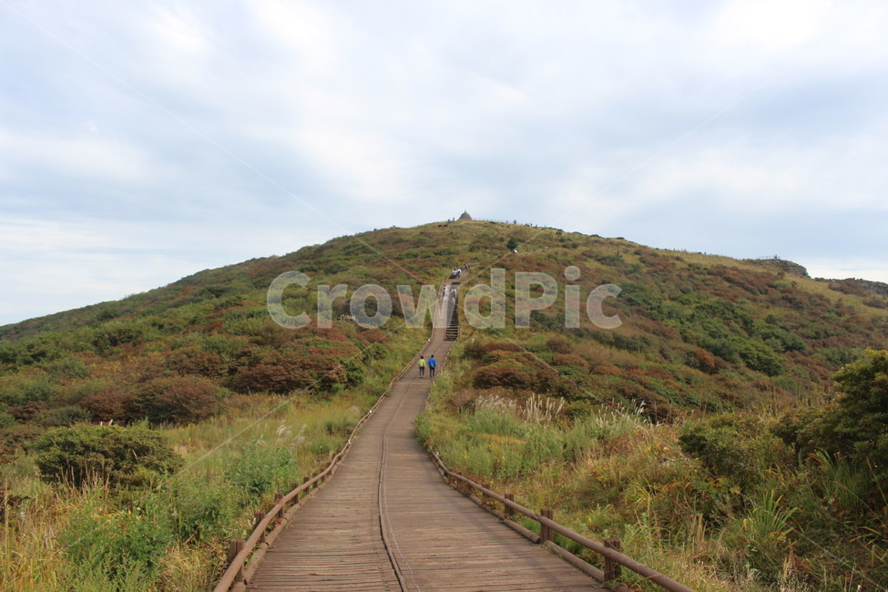 지리산,노고단,등산,산,등산길,산행,오르막,오르막길,자연,풍경,nature,landscape,outdoors,옥외,grassland,목초지,field,들