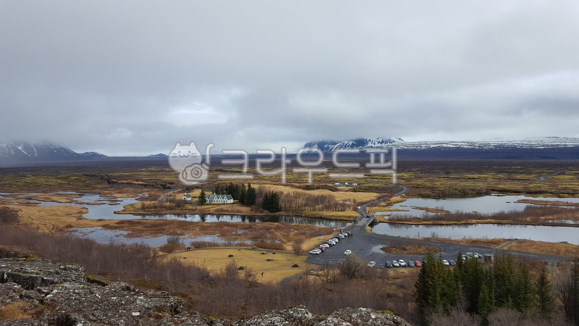 A national park,forest,nature,tree,Thingbelier,iceland,Iceland,thingvellir,outdoors,national,wood,lake,park