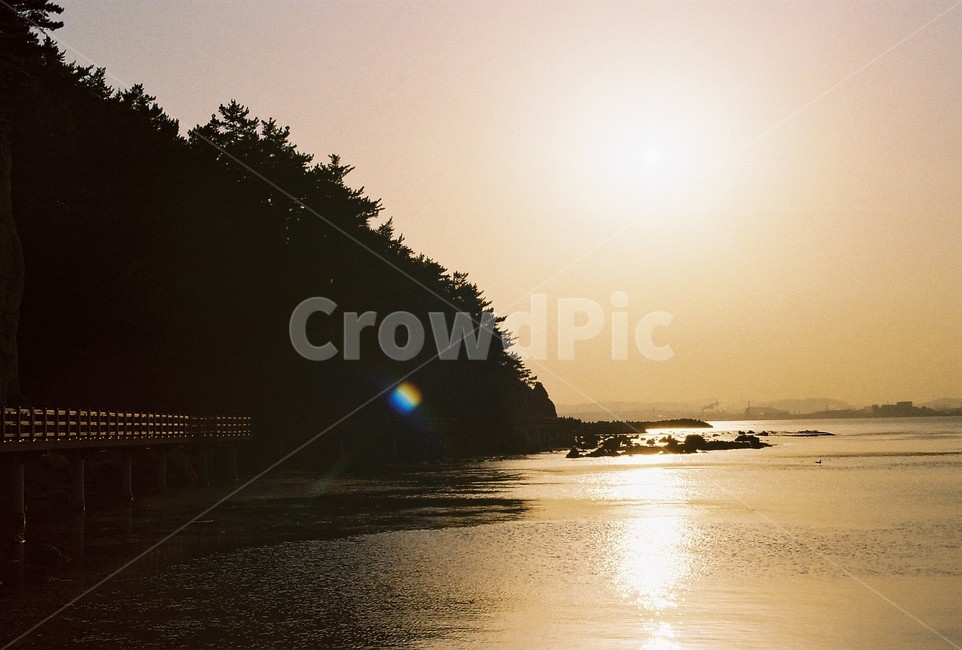 필름,필름카메라,아날로그,analog,filmcamera,film,감성,감성사진,바다,산,노을,자연,풍경,nature,landscape,light,빛,flare,플레어