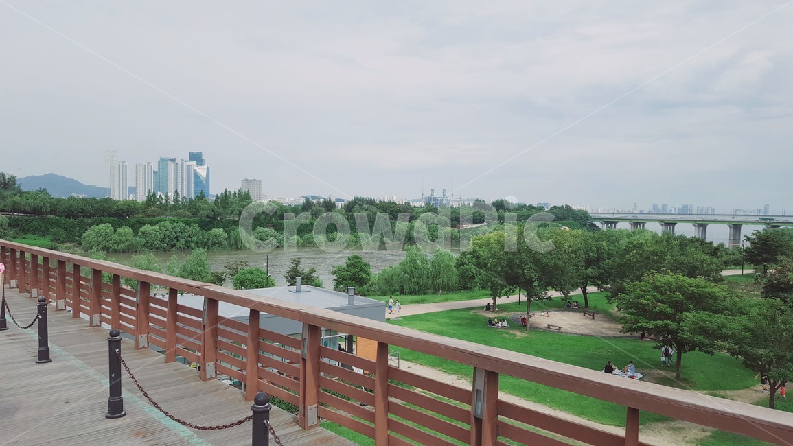 한강,다리,한강공원,도시,공원,숲,하늘,풍경,bridge,park,city,hanriver
