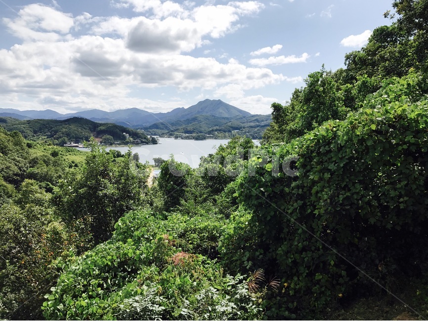 자연,강원도,숲속,맑은하늘,힐링,풍경,나무,숲,강,호수,자연,풍경,nature,landscape,outdoors,옥외,vegetation,초목,plant,식물