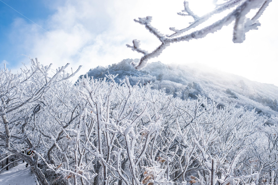 설경,산,겨울산,겨울,눈꽃,눈,등산,능선,추위,도전,하늘,구름,정상,흐림,덕유산,계절,winter,season,자연풍경,nature,landscape,한국자연풍경,한국자연경관,koreanaturelandscape,바람,흩날리다,무주,향적봉,상고대,눈보라,폭설,설산,설국,겨울,계절,winter,season,자연,풍경,nature,landscape,한국자연풍경,한국자연경관,korea nature landscape,outdoors,옥외,ice,빙,snow