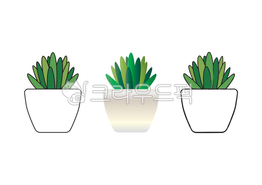 다육,다육이,다육화분,다육식물,다육일러스트,선인장,선인장화분,선인장일러스트,화분,미니화분,장식화분,손그림화분,인테리어화분,화분일러스트,식물,반려식물,초록식물,사막식물,식물일러스트,천대전송,와송,디자인소스,succulent,plant,succulentplant,cactus,그래픽,일러스트레이션,graphic,illustration,누끼,removebackground