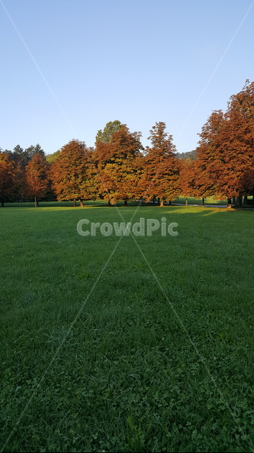 park,공원,grass,plant,식물,lawn,잔디,가을,autumn,fall,가을,계절,fall,autumn,season,자연,풍경,nature,landscape