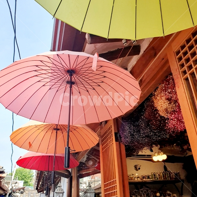 하늘,우산,umbrella,익선동,길거리,감성