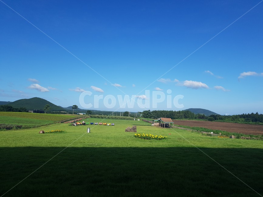 들,outdoors,field,평야,여유