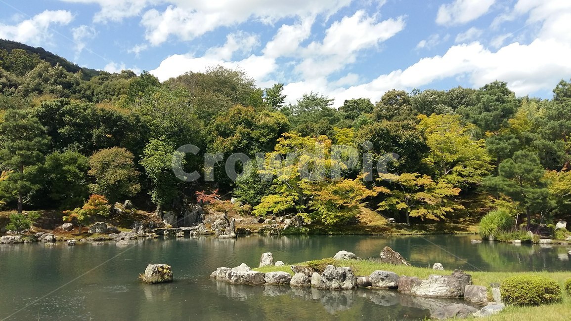 물,자연,옥외,정원,연못,water,nature,outdoors