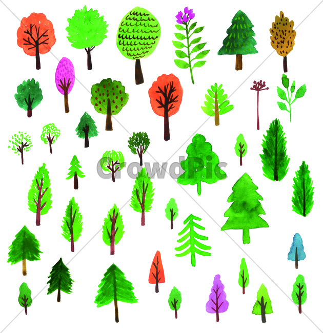 나무,tree,weed,손그림,handdrawing,watercolor,나뭇가지,bough,sprig,twig,branch,소나무,pine,plant,식물