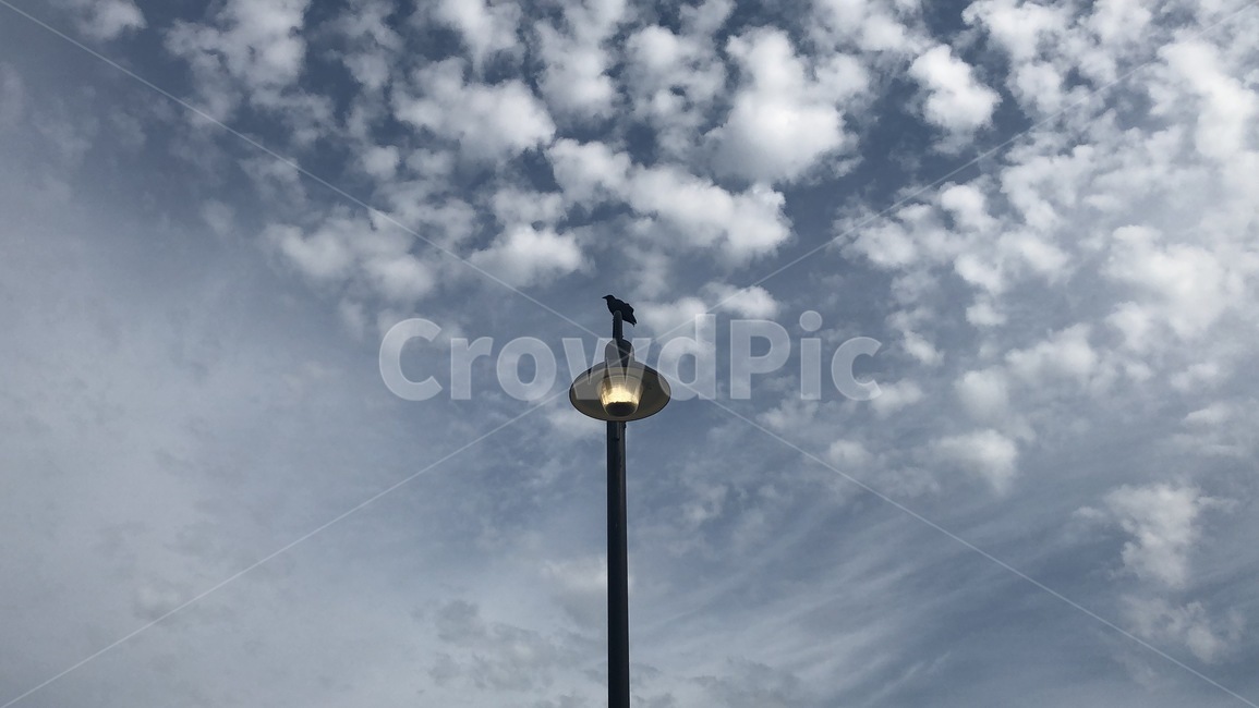 양털구름,구름,lamppost,lamp,램프,가로등