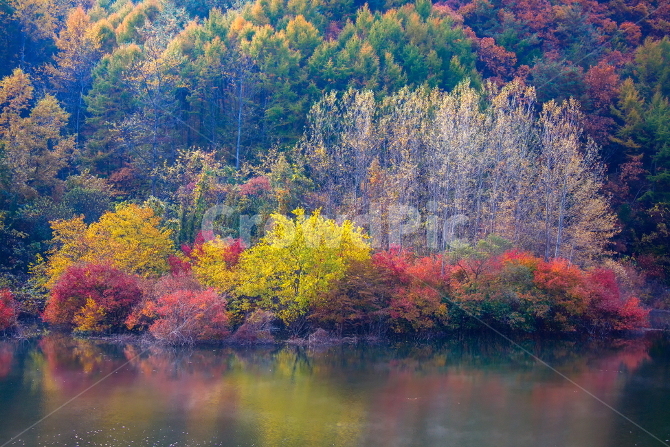 가을풍경,가을,반영,자연,nature,용담호,tree,plant,가을,계절,fall,autumn,season,자연,풍경,nature,landscape,한국자연풍경,한국자연경관,korea nature landscape
